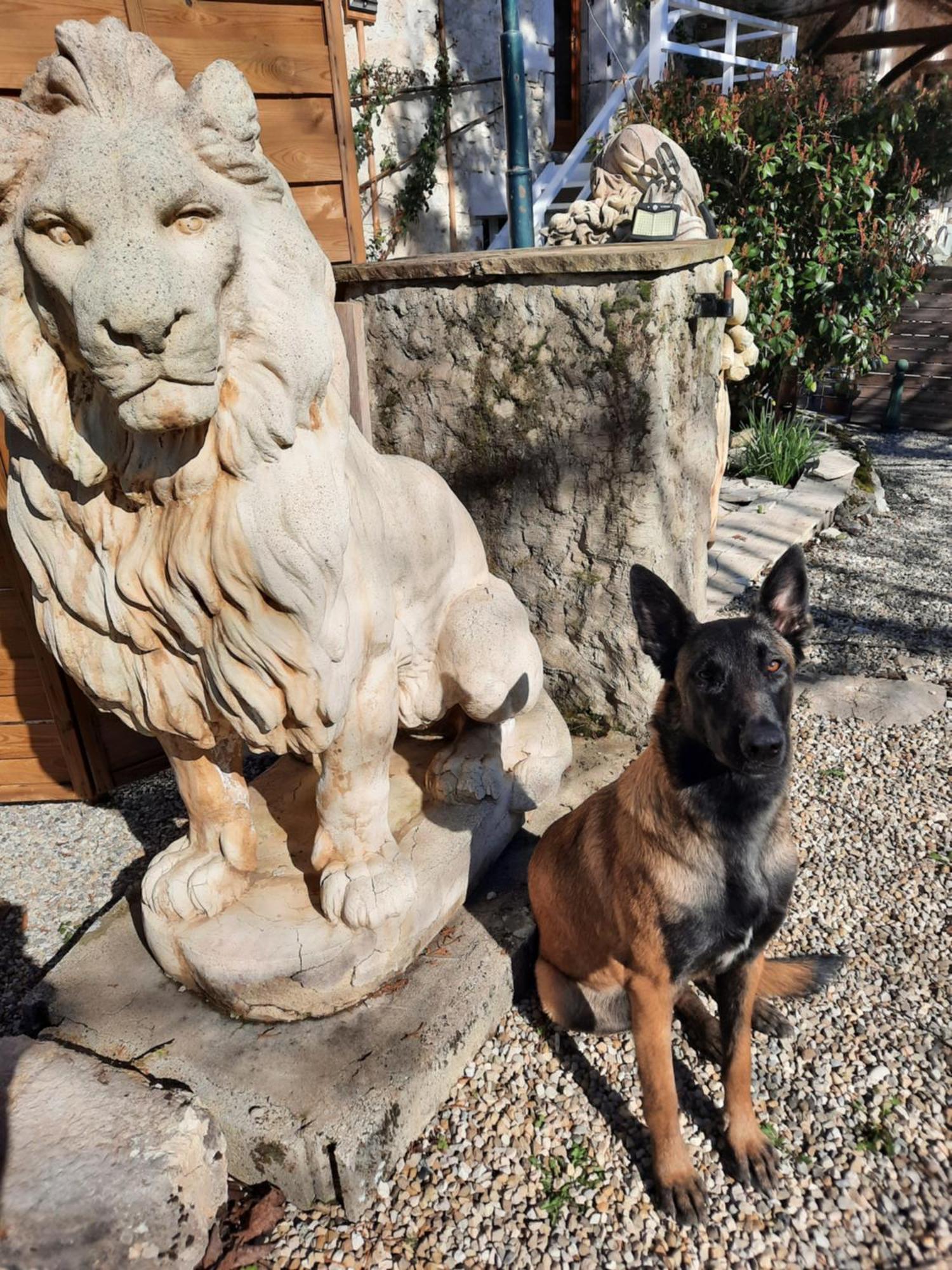 Gite Des 2 Lions Murs-et-Gelignieux Exterior foto